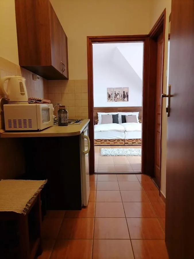 Aqua Oazis Apartman Hajdúszoboszló Magyarország