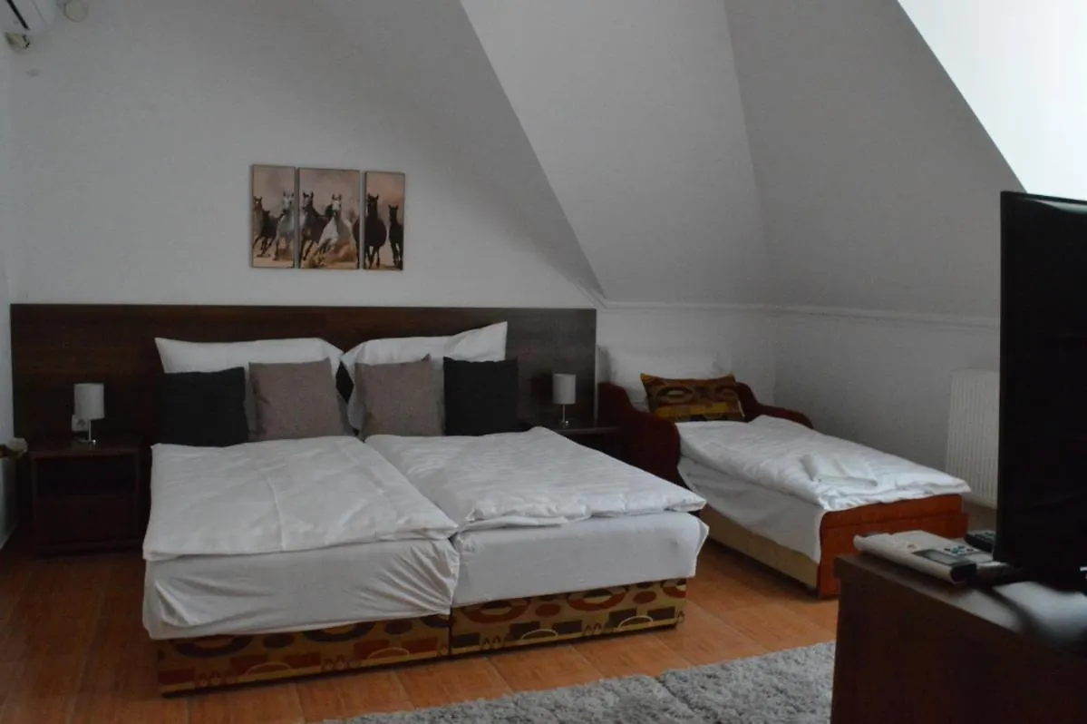 Aqua Oazis Apartman Hajdúszoboszló 0*,